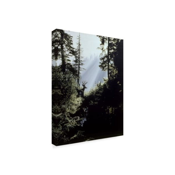 Ron Parker 'Edge Of The Forest' Canvas Art,24x32